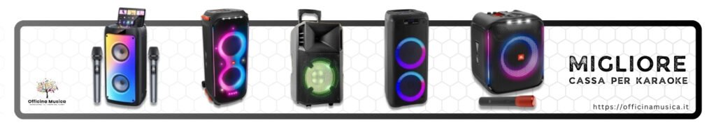 Migliore Cassa per Karaoke Professionale o Portatile
